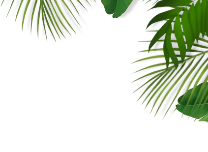 vector2