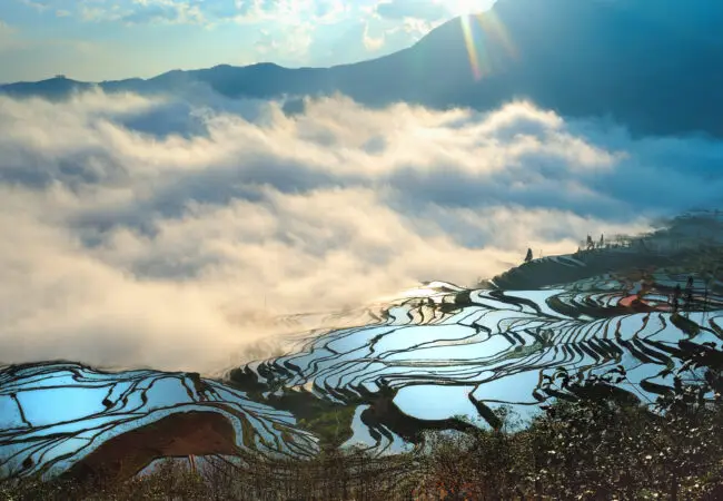 Lever de soleil sur des champs en terrasses de Yuanyang, Yunnan, Chine