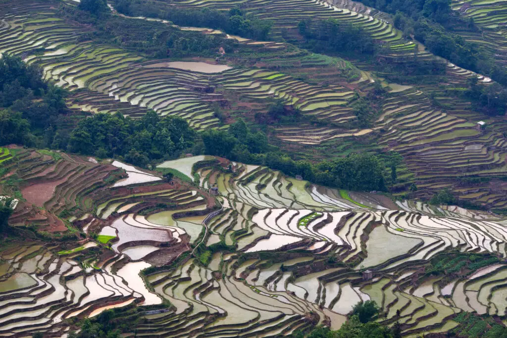 Paysages des Rizières en Terrasse de Yuanyang, Yunnan, Chine 03