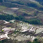 Paysages des Rizières en Terrasse de Yuanyang, Yunnan, Chine 03