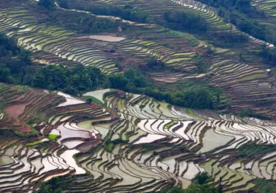 Paysages des Rizières en Terrasse de Yuanyang, Yunnan, Chine 03