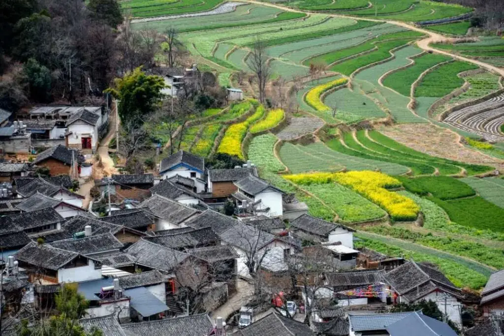 Paysage du village Shigu, dans la région de Lijiang, Yunnan 01