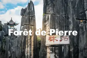 Titre de la forêt de pierre à Kunming 01