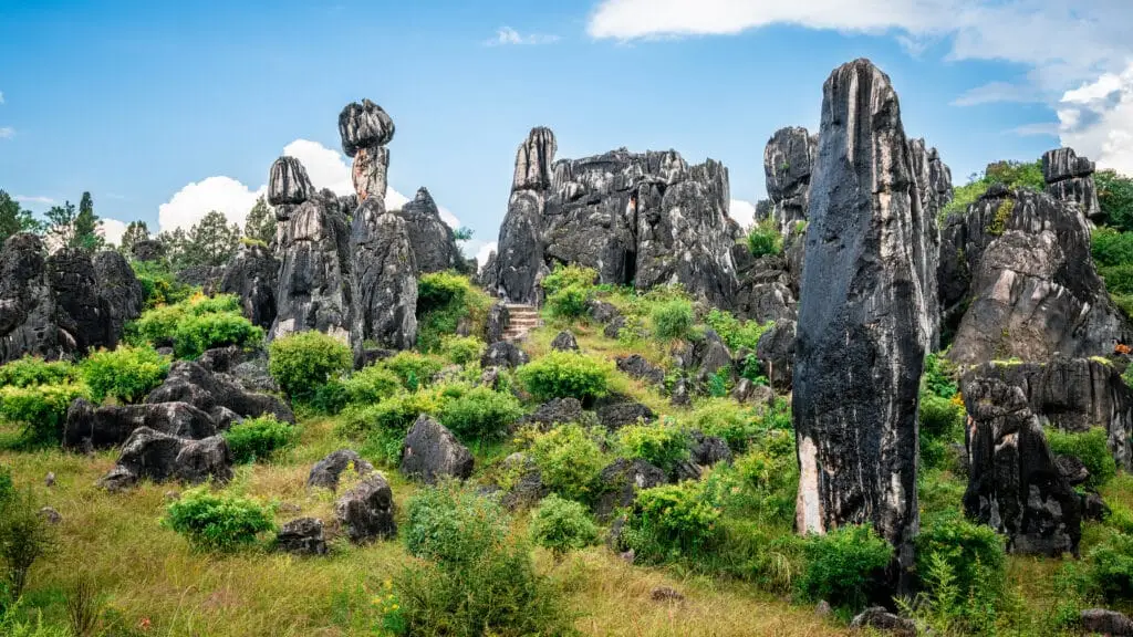 Paysage de la forêt de pierre dans la ville de Kunming 11