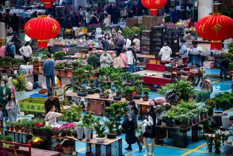 Marché du Fleurs à Dounan à Kunming 02