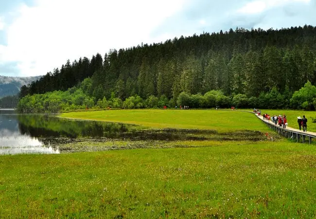 Le parc nationnal de Pudacuo à Shangri-la 04