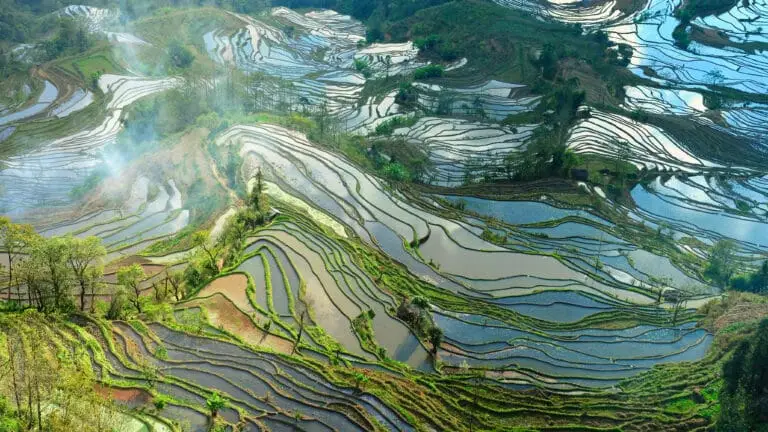 Vue aérienne des rizières en terrasse en couleur vert du Yunnan