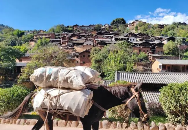 Village de Nuodeng à Dali 02 - voyage yunnan