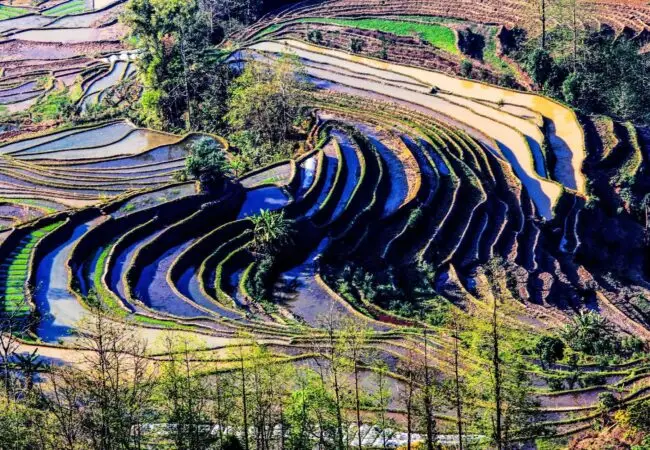Paysage des rizières de Yuanyang 13 - Yunnan voyage