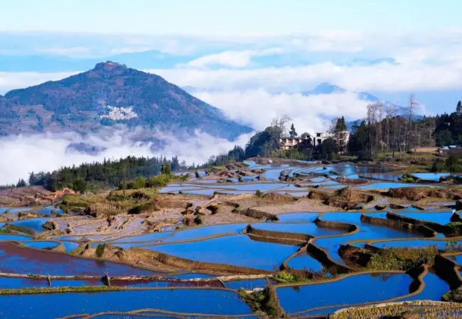 Rizières en terrasse de Yuanyang 17- voyage yunnan