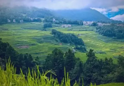 Rizieres de terrasse Yuanyang en été - voyage yunnan