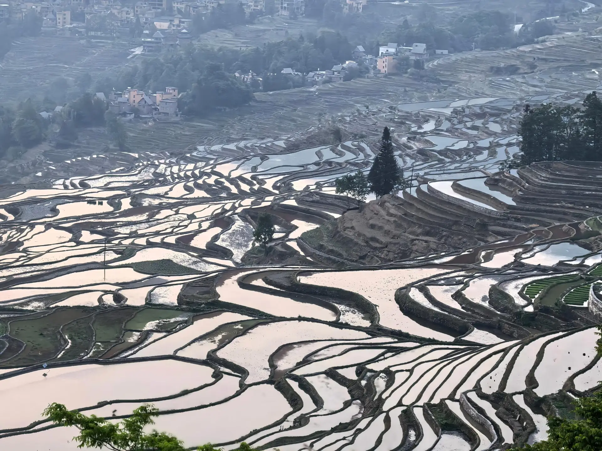 Vue panoramique sur les rizières en terrasses de Yuanyang, soulignant les courbes graphiques des bassins en eau et les villages nichés dans la brume.